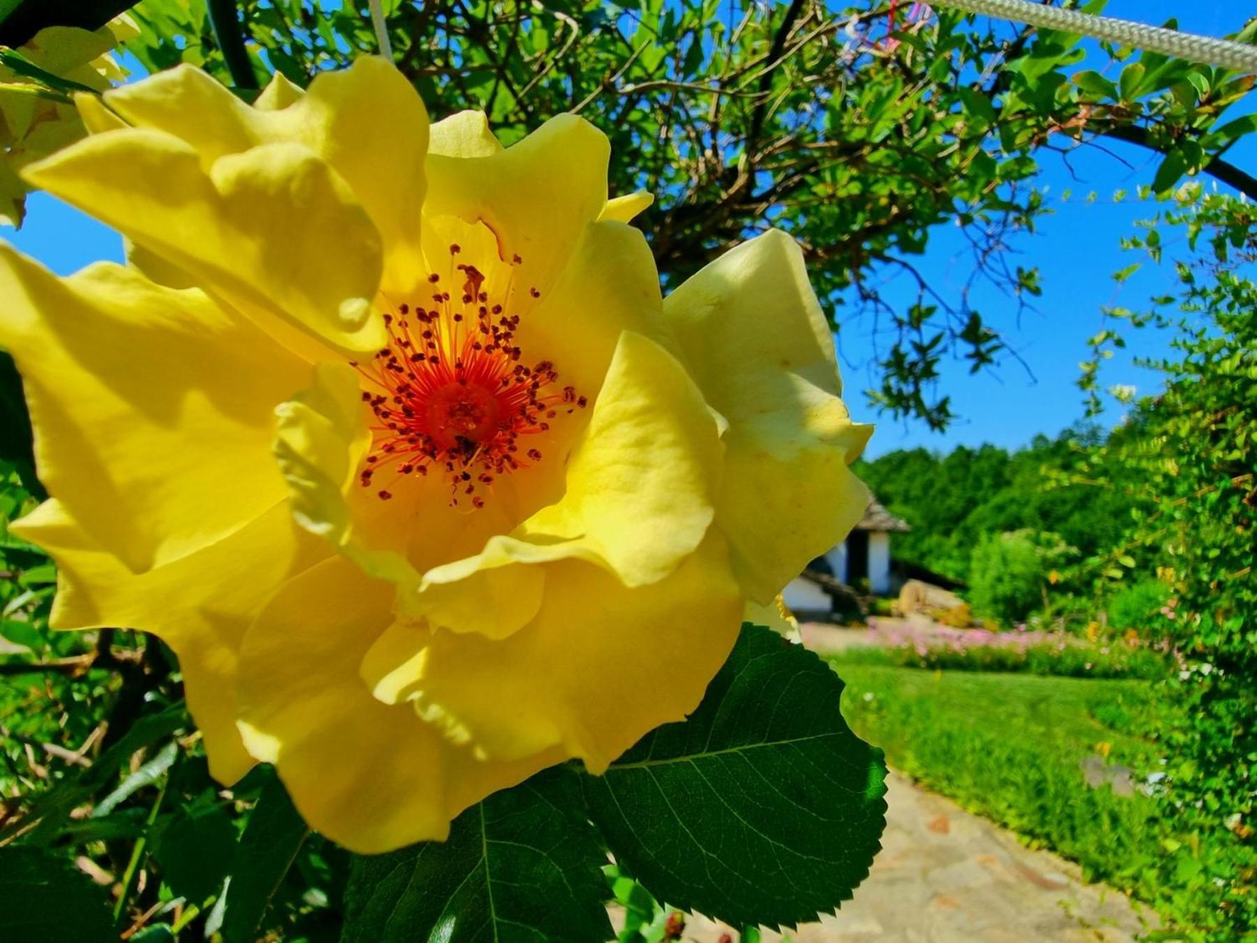 Вилла Agriturismo Hidden Paradise Трявна Экстерьер фото